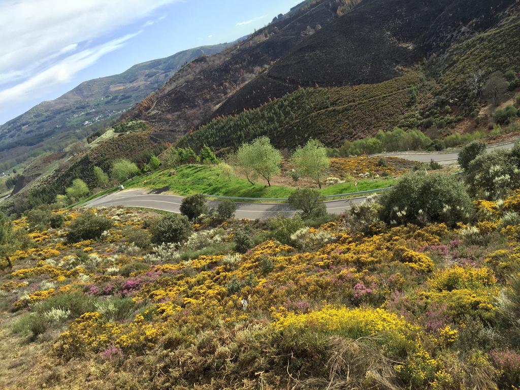 Alojamiento En Entorno Rural Los Trobos Villar de Otero 外观 照片