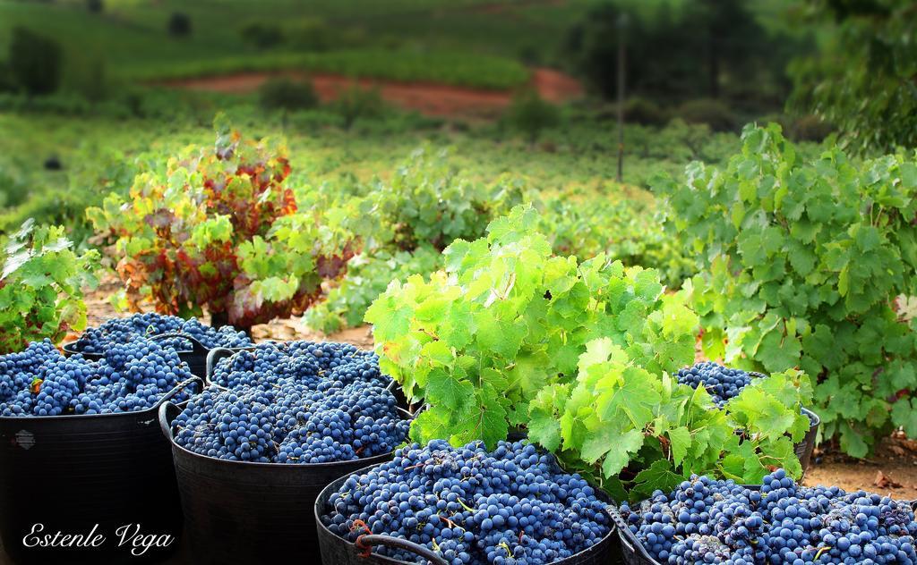 Alojamiento En Entorno Rural Los Trobos Villar de Otero 外观 照片