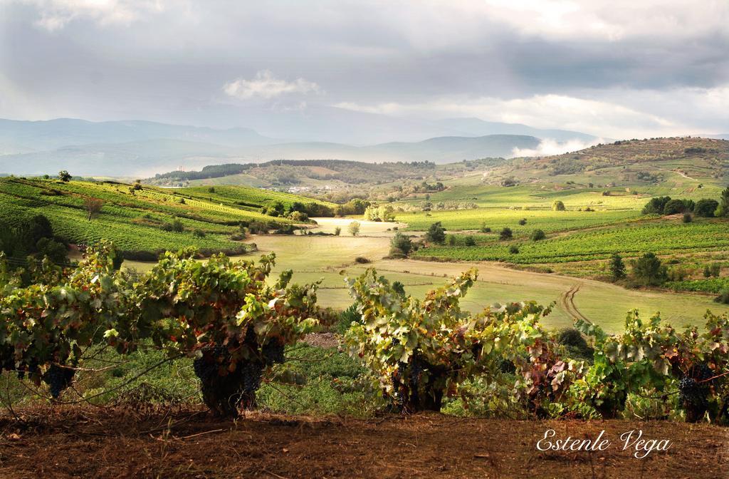 Alojamiento En Entorno Rural Los Trobos Villar de Otero 外观 照片
